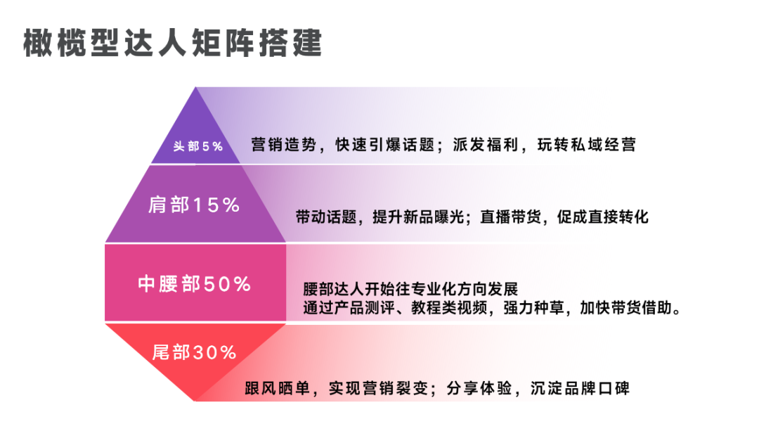 橄榄型达人矩阵