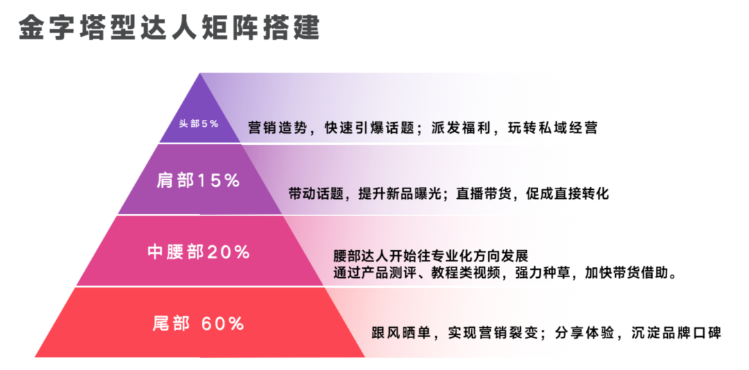 金字塔型达人矩阵